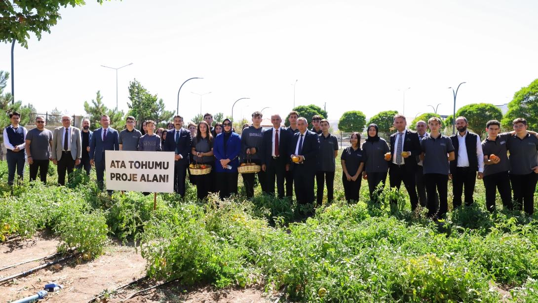 Ata Tohumundan Domates Ekimi TÜBİTAK 4004 Projesi ile Öğrenciler Toprakla Buluştu.